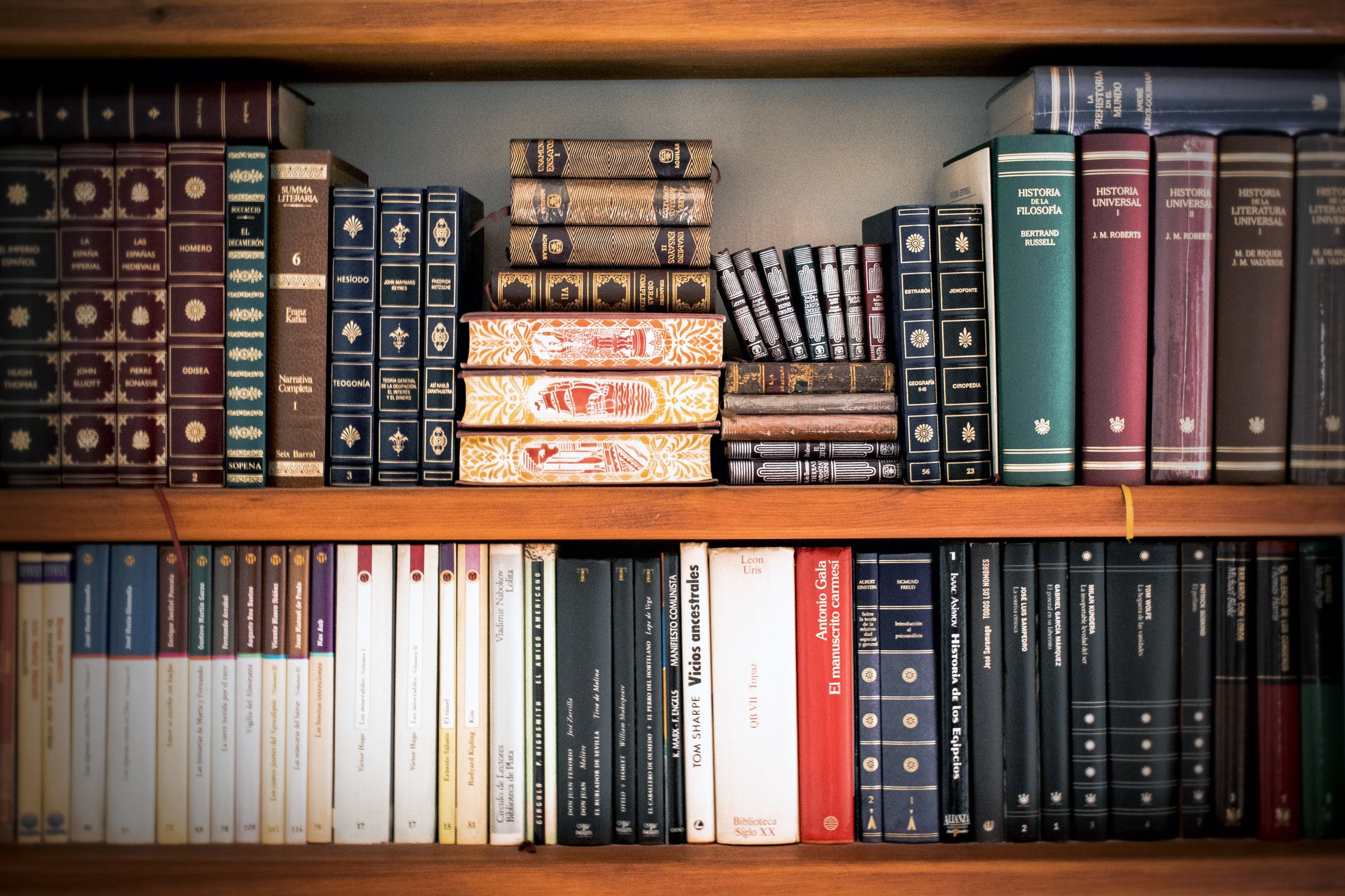 Rows of books on two shelves.